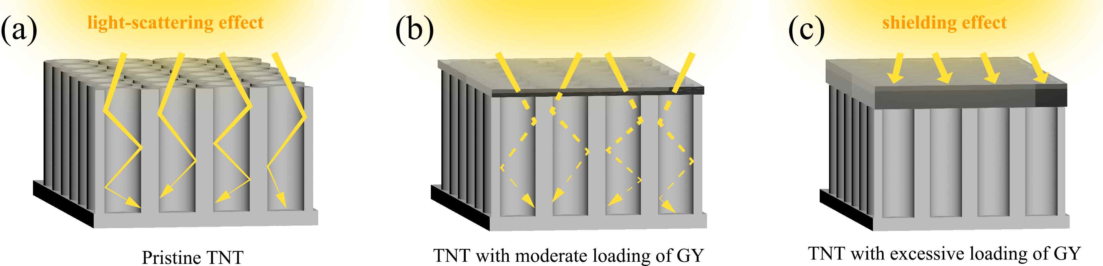 Schematic illustration for light travel in pristine TNT (a), 0.39GY/TNT (b), and 1.95GY/TNT (c).