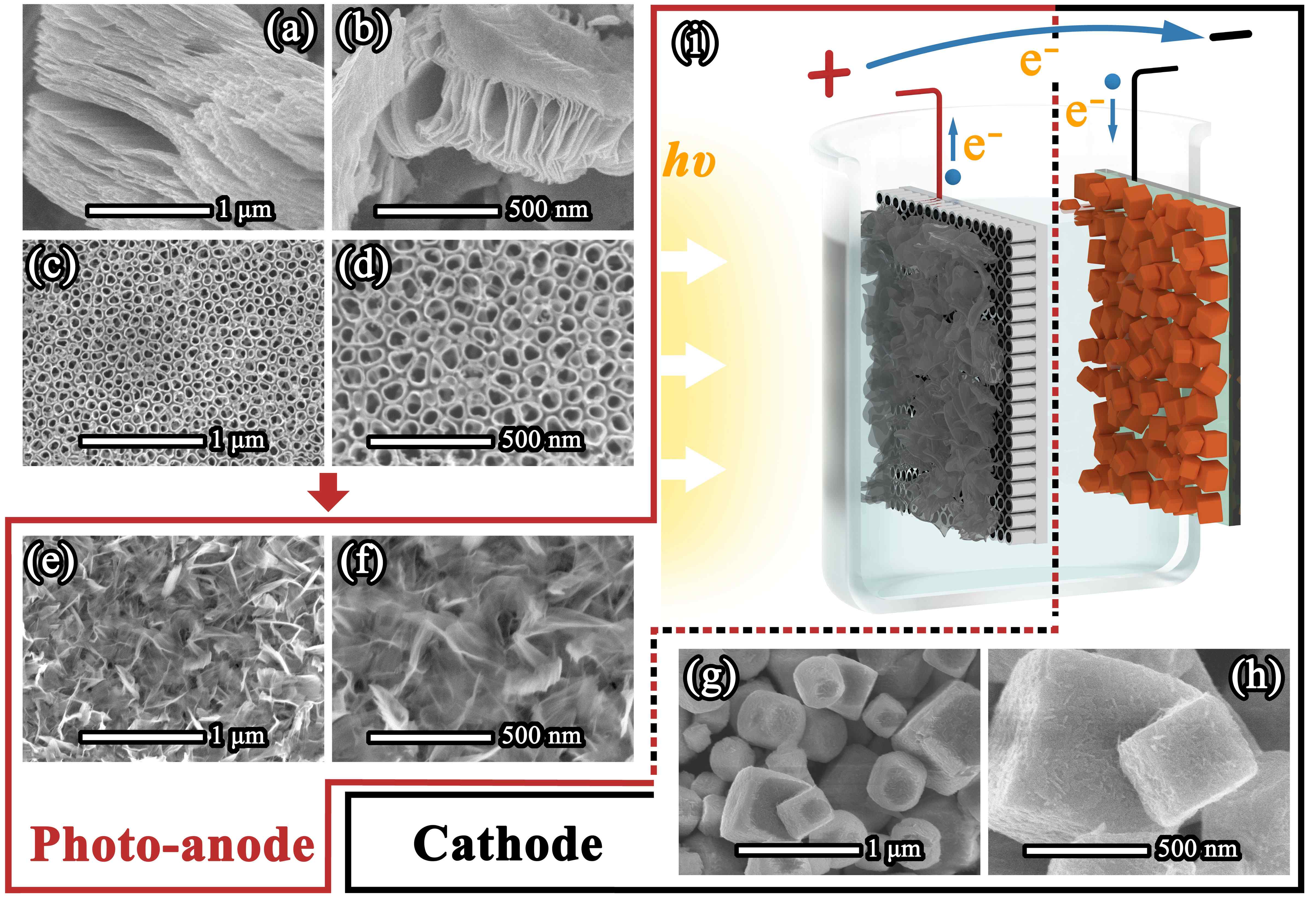 阳极材料：不同放大倍率下 (a) (b) 纯 MXene、(c) (d) 纯 TNT 和 (e) (f) TiO<sub>2</sub>/Ti<sub>3</sub>C<sub>2</sub>-TNT的 SEM 图；阴极材料：不同放大倍率下 (g) (h) Cu<sub>2</sub>O 的 SEM 图